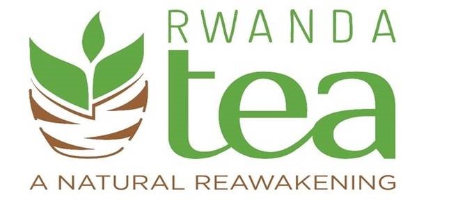 Logo 4